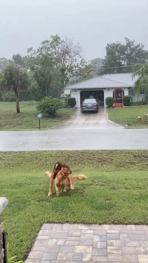 Instagram post by @coachjohnnoel for The Farmer's Dog. Caption reads: My daughter insisted that Sawyer got a cake … and....
