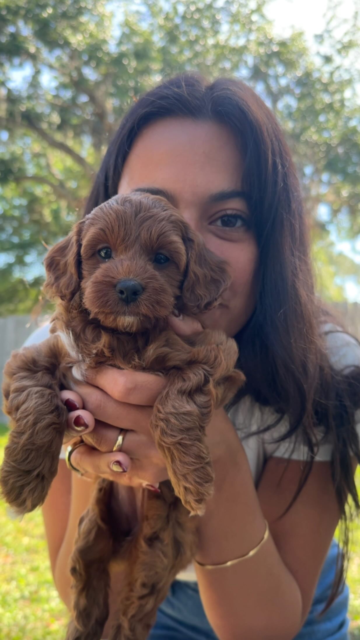 Instagram post by @thelilolifestyle for Dutch. Caption reads: [...] dog mom with a lot of questions… @hellodutch....