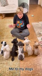 Instagram post by @sunsationalsix for Sassy Woof. Caption reads: We are here listening to the mama tell us to be....