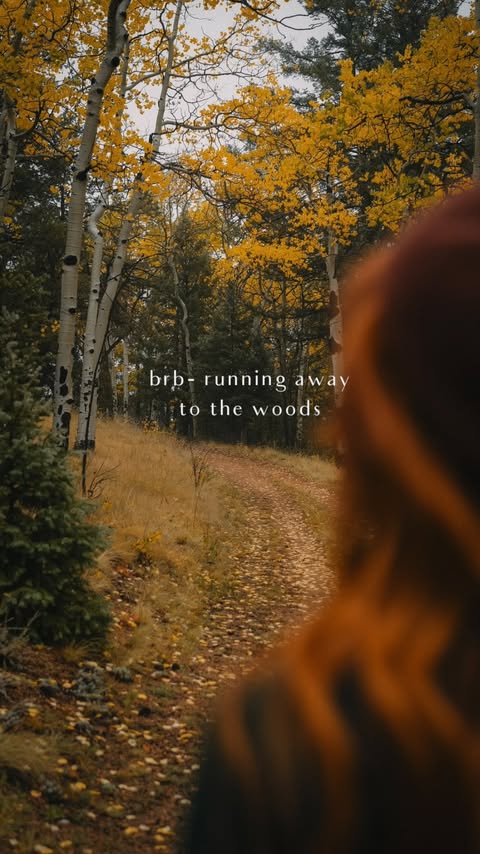 Instagram post by @cosyacademia for BLUETTI. Caption reads: what’s your favorite way to recharge when you’re....