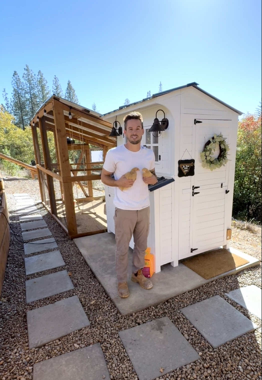 TikTok post by @dadsocial for Scrub Daddy. Caption reads: If a single @Scrub Daddy sponge can clean an....