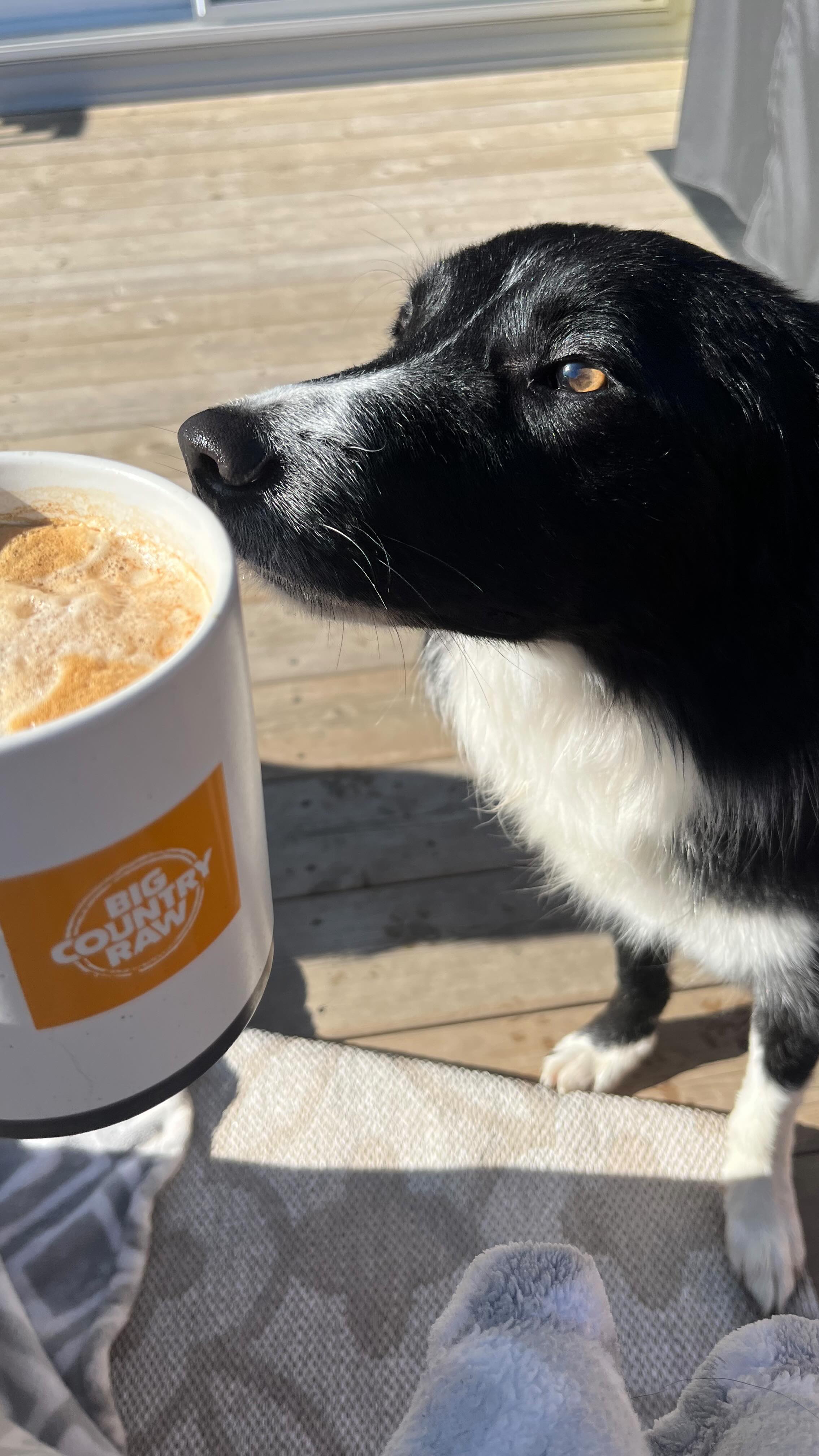 Instagram post by @thenweroam for BIG COUNTRY RAW. Caption reads: [...] a d Meal time is the best time when....