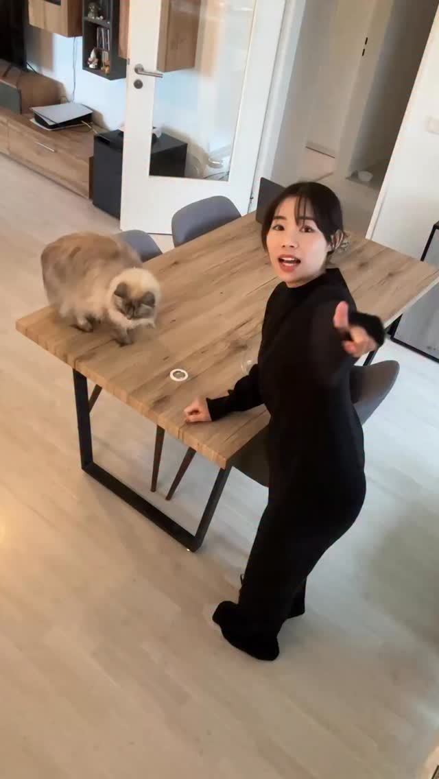 Instagram post by @melonsoda_jpn for LISEN. Caption reads: Anzeige｜LISEN MagSafe Handyhalterung für Auto....