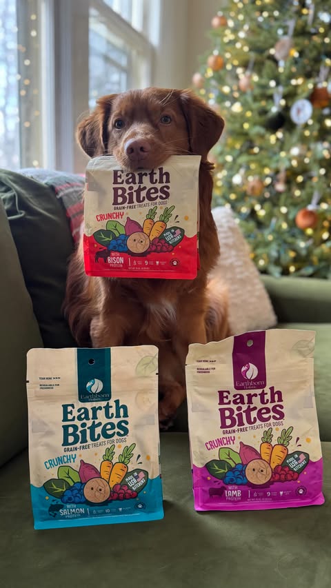 Instagram post by @ourwesternjourney for Earthborn Holistic Pet Food. Caption reads: Lets get into the holiday spirit with....