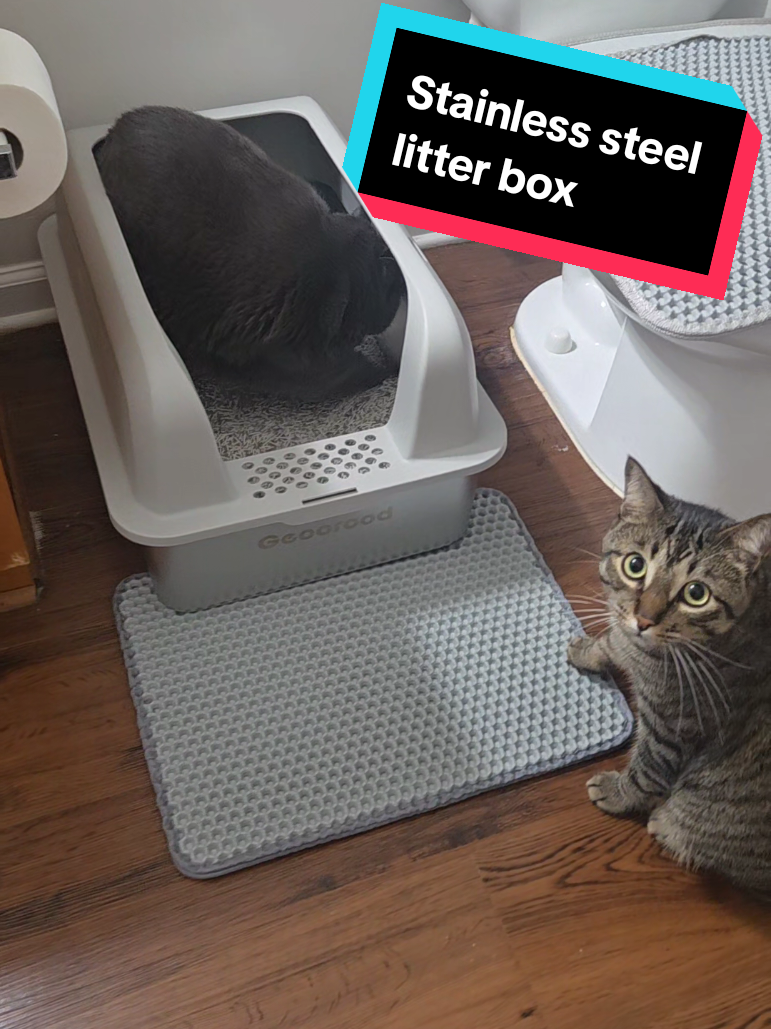TikTok post by @hazysuzan for Geoorood. Caption reads: [...] steel, but already the smell is....