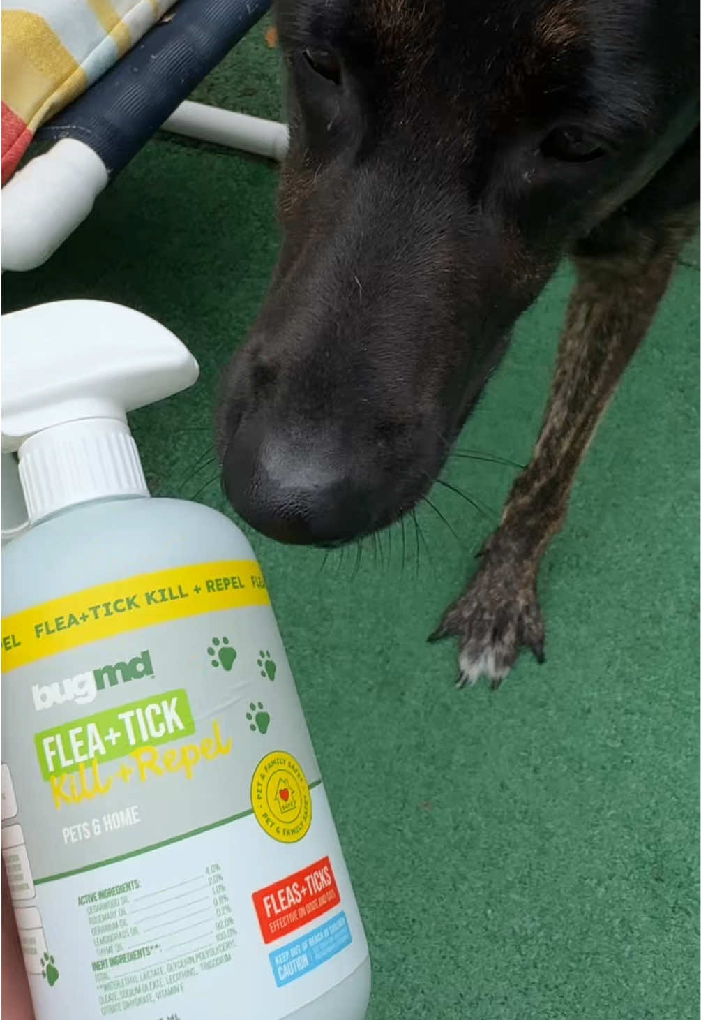 TikTok post by @reatherdoglife for BugMD. Caption reads: @BugMD is safe and effective for keeping fleas....