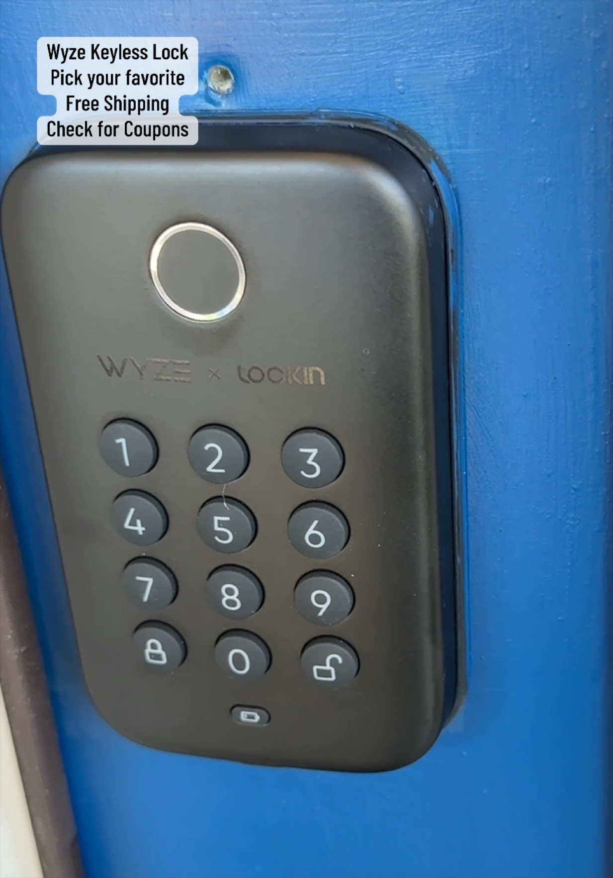 TikTok post by @amandemic1 for Wyze. Caption reads: These keyless entry door locks from @Wyze are....
