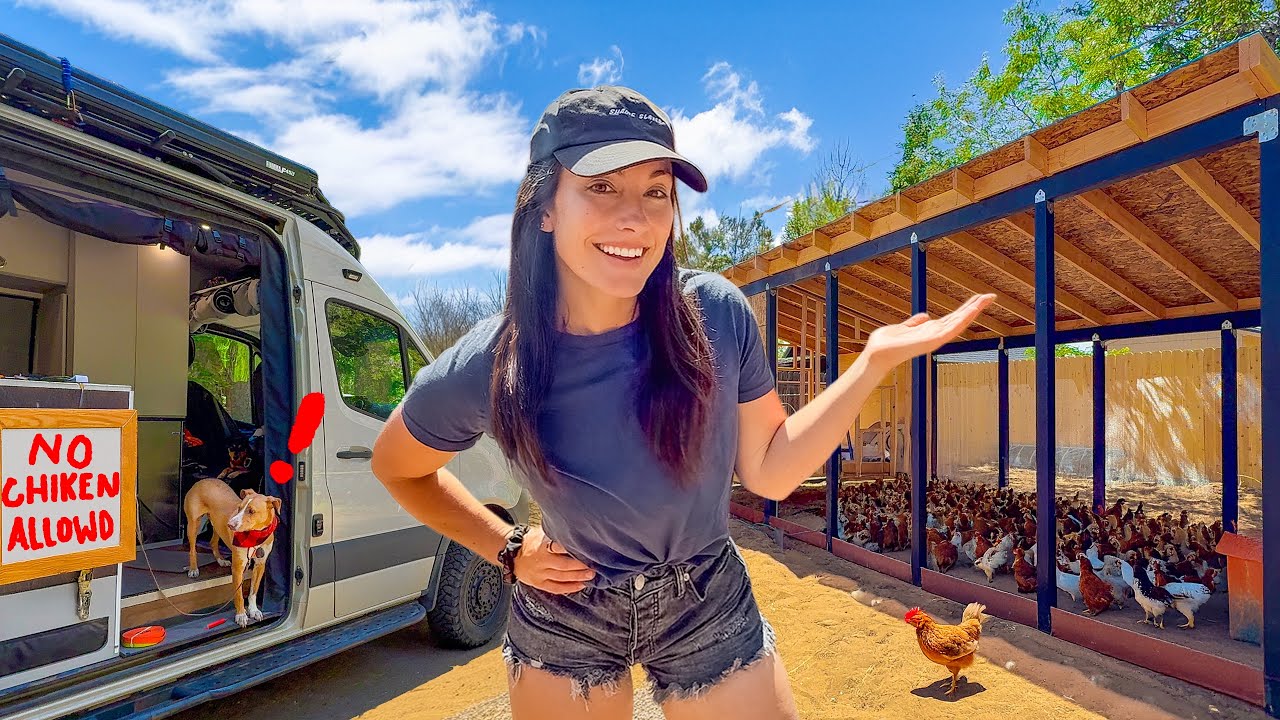 YouTube post by @NikkiDelventhal for Dometic. Caption reads: My Tiny Van Home is Smaller Than My Chicken's....