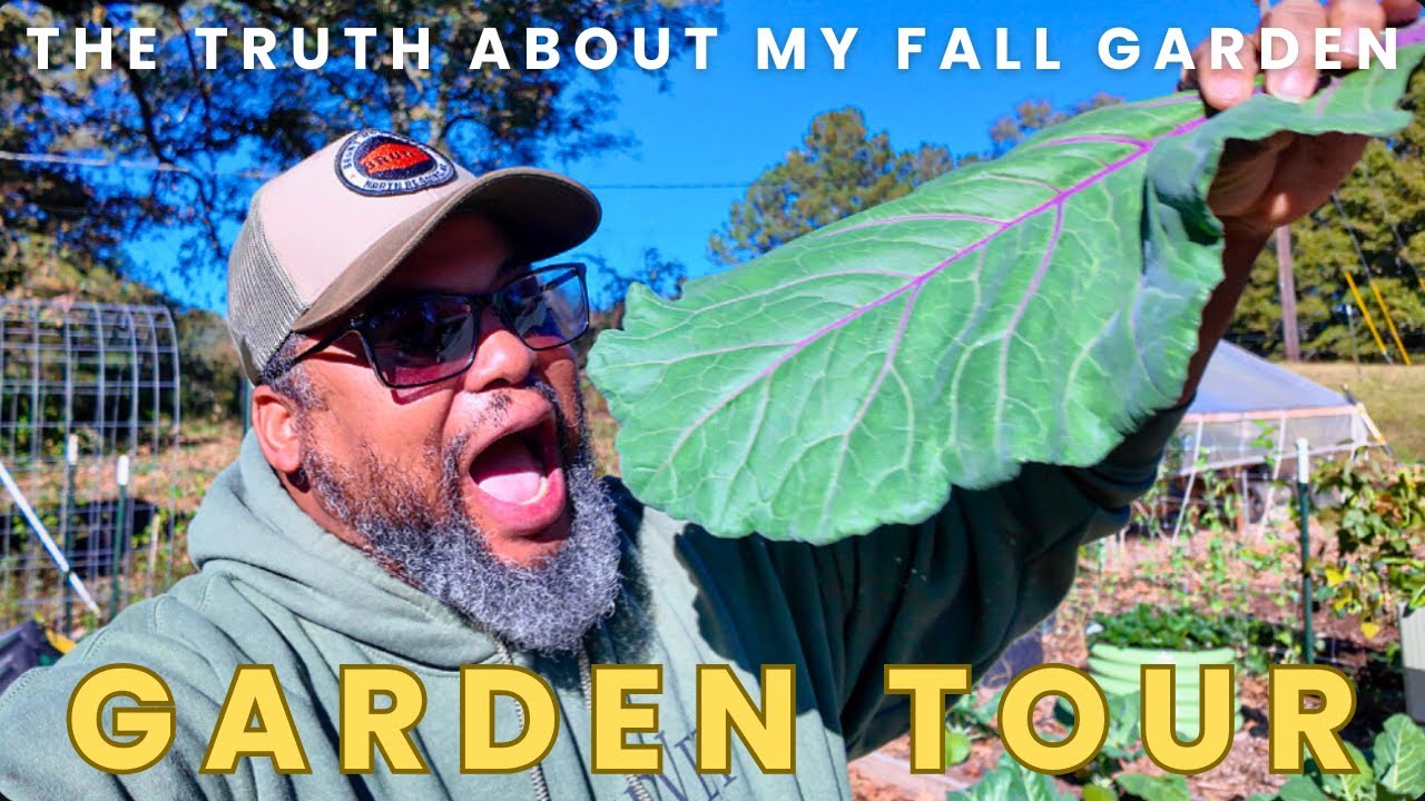 YouTube post by @saltydawghomestead for Farmers Defense. Caption reads: November Garden Tour 🌱 What’s Really Thriving....