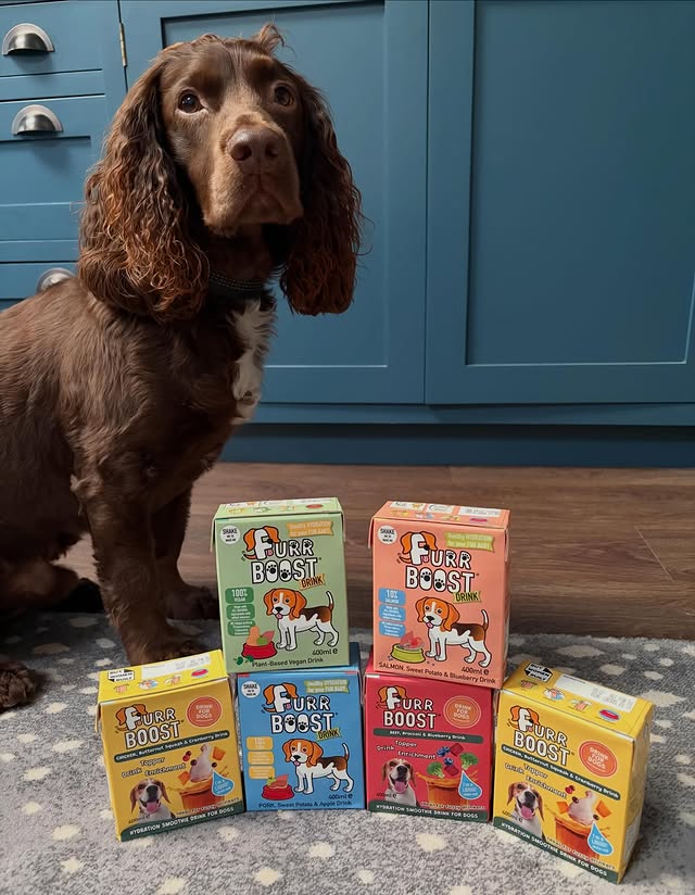 Instagram post by @wilbur_wcs for Furr Boost. Caption reads: [...] which flavour do I have first? 🐾 #furrboost....