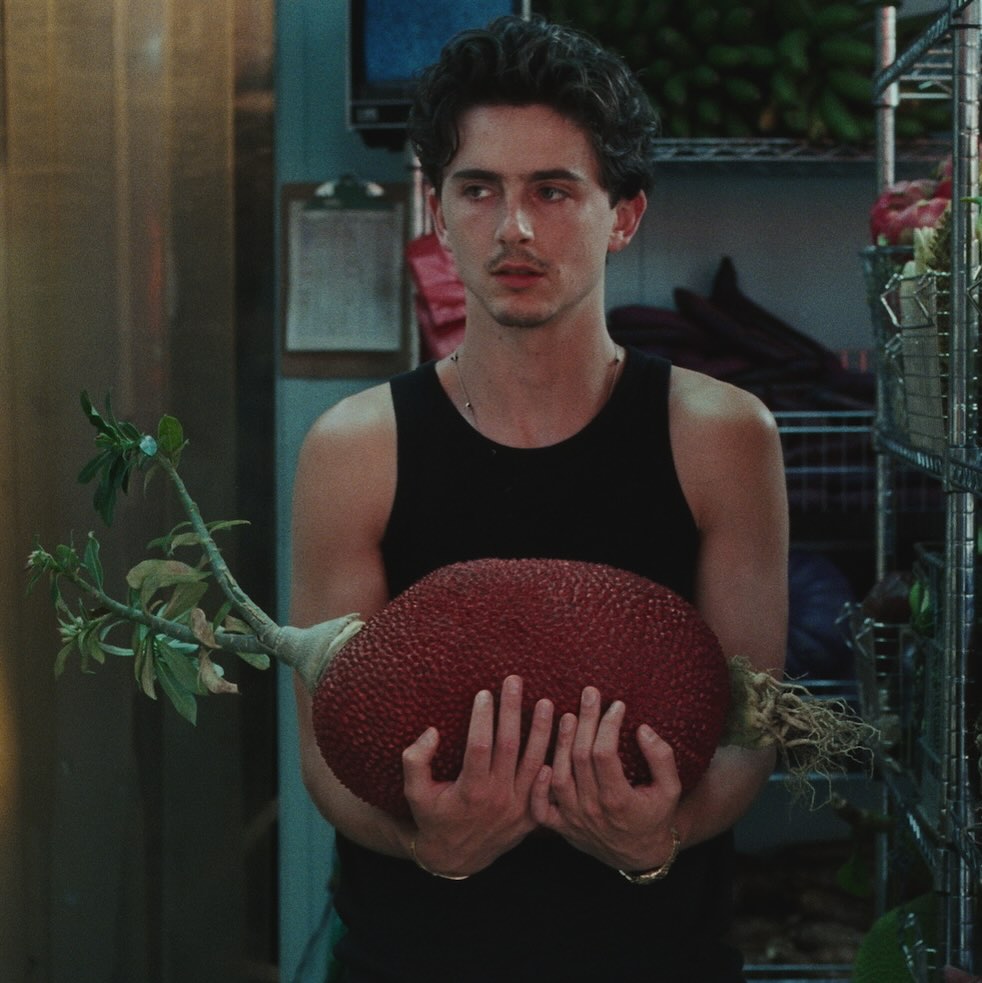 Instagram post by @tchalamet for Cash App. Caption reads: UPDATE UR PAYMENT METHODS @cashapp 🍆🩶🍆 #ad.