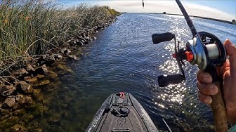 YouTube post by @GregBlanchardFishing for Deepersonar. Caption reads: Weirdest day out on the water in 2025.