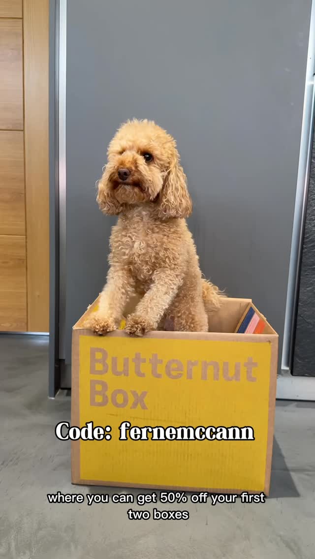 Instagram post by @fernemccann for Butternut Box. Caption reads: Clemmie is OBSESSED with her @butternutbox....