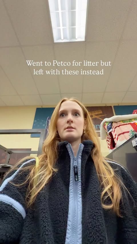 Instagram post by @lindseykuzmin for Petco. Caption reads: Reindeer Marshall has seen some things👀 @petco....