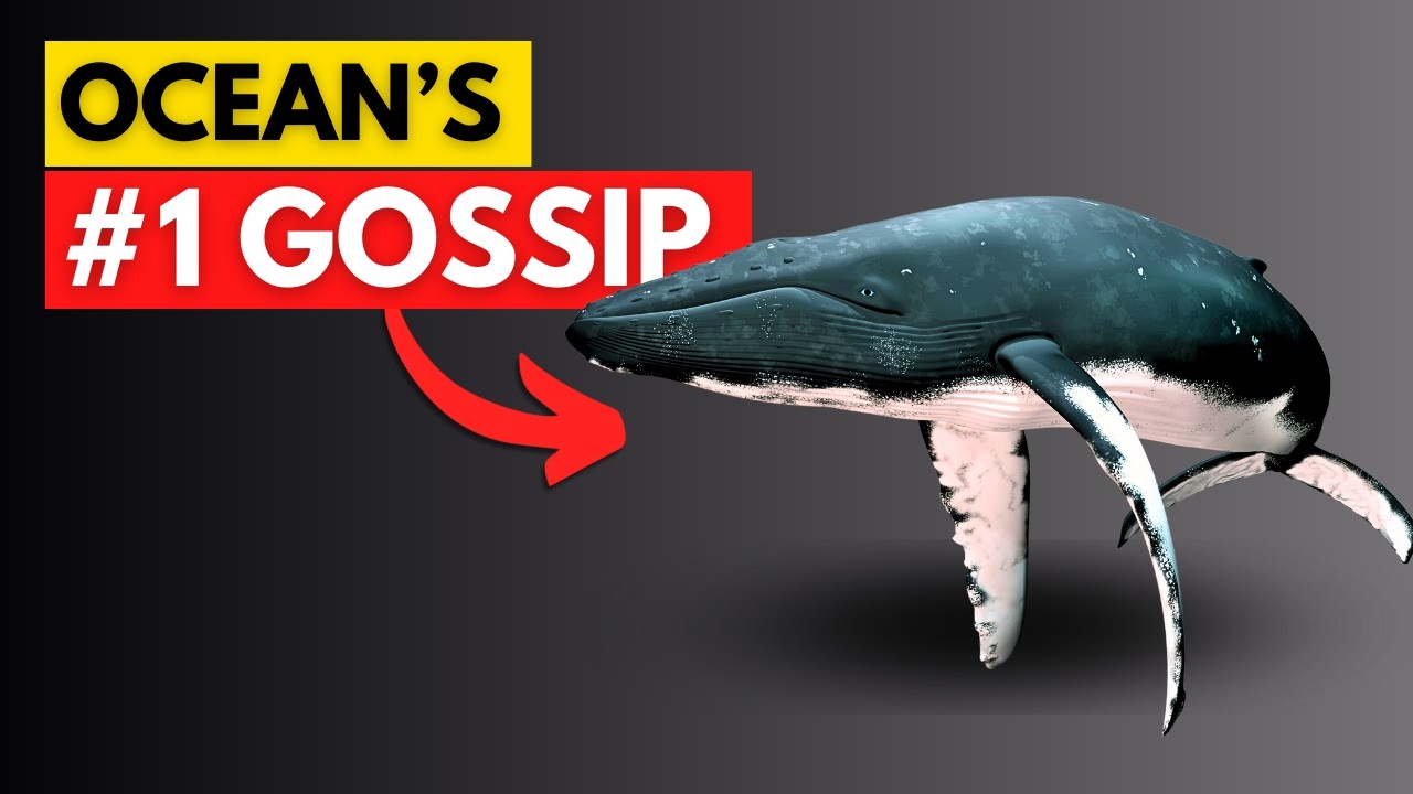 YouTube post by @DrBenMiles for Earth. Caption reads: We Just Discovered Whales Speak Like Humans.