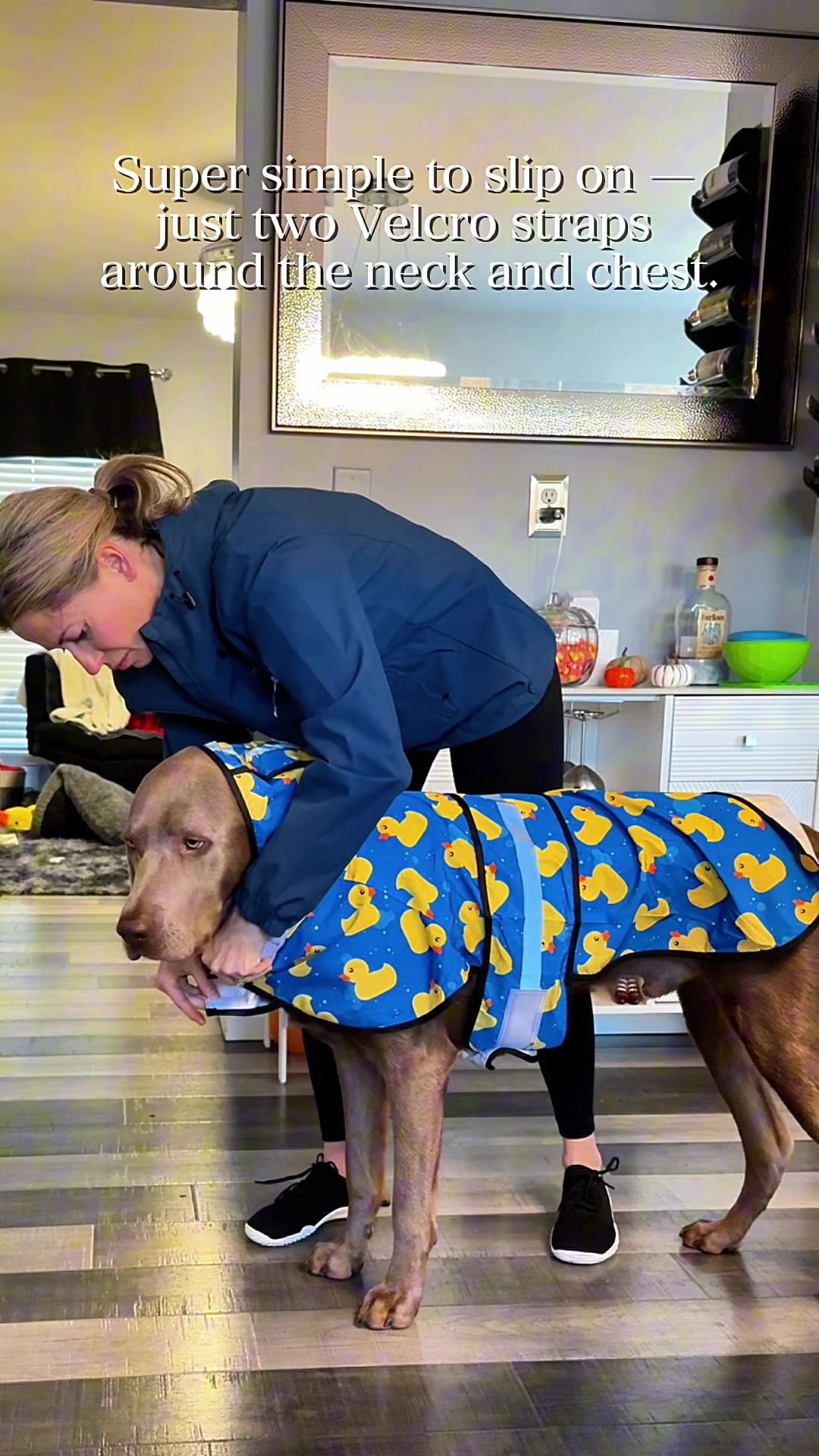 TikTok post by @ghost_labrador for ShopHDE. Caption reads: [...] and Tail-Wagging Patterned raincoat for....