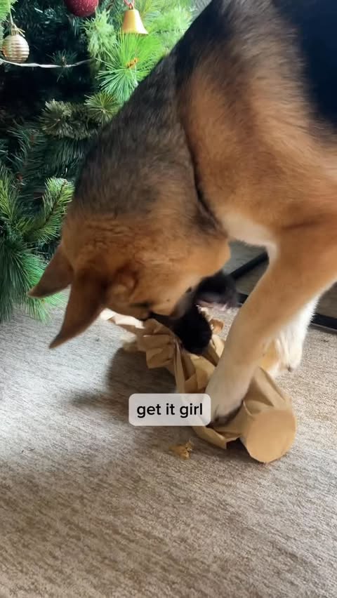 Instagram post by @_thelifeofleia for YuMOVE. Caption reads: [...] subscriptions with promo code LEIA55 at....