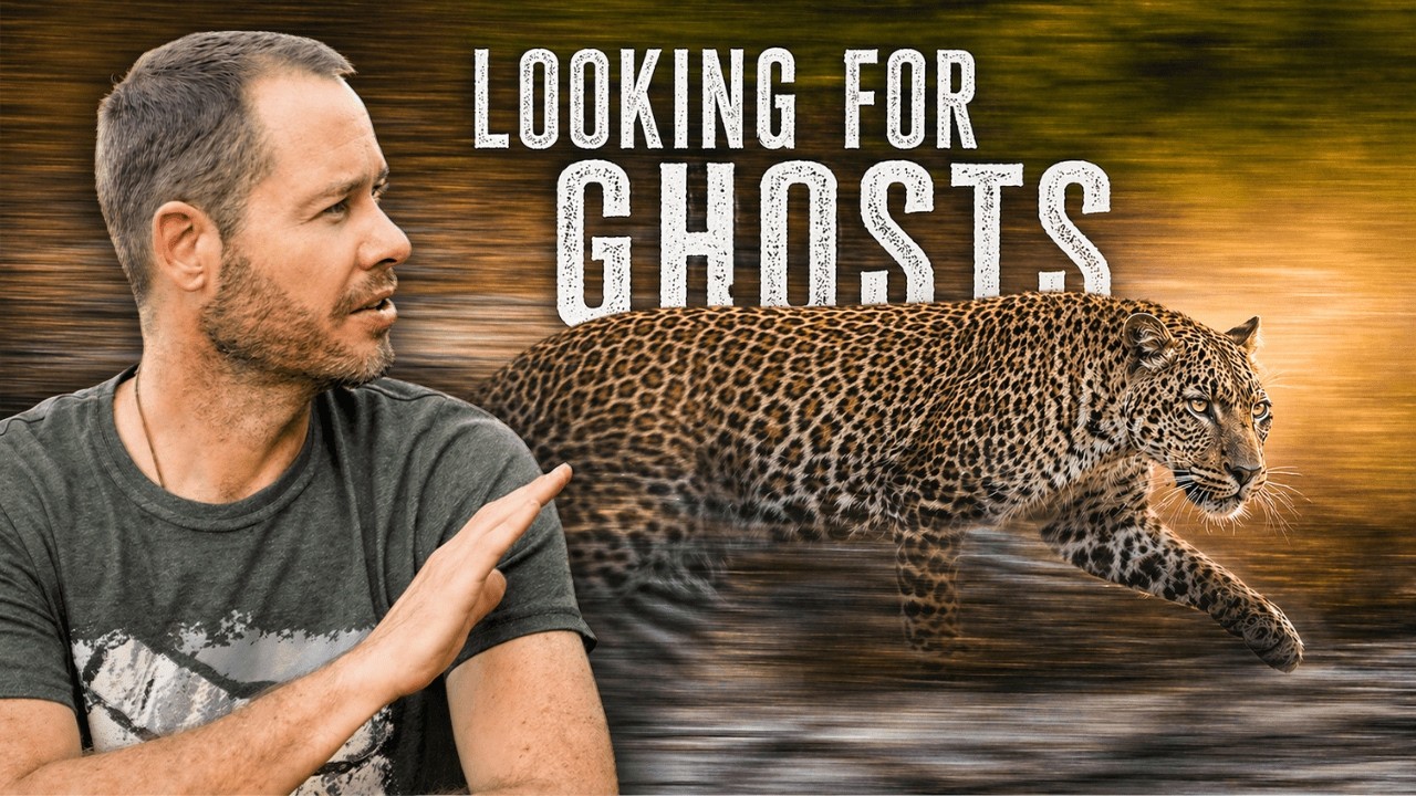 YouTube post by @TheSafariExpert for Udemy. Caption reads: Can I Actually Find a Leopard in The Hoedspruit....