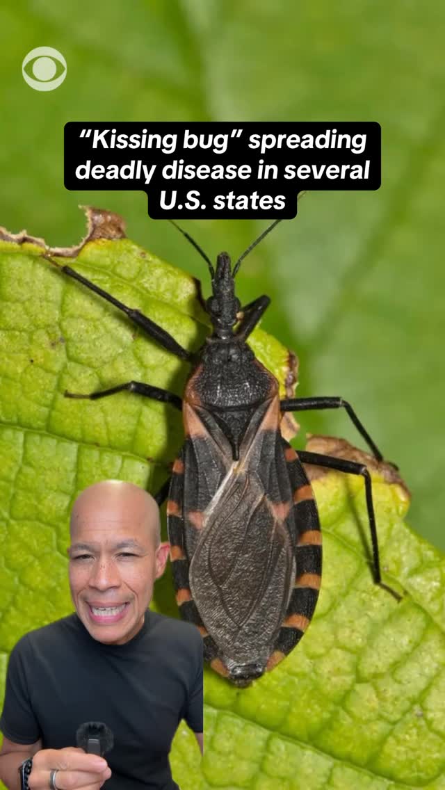 Instagram post by @vladduthierscbs for CBS News. Caption reads: A deadly “kissing bug” is spreading its disease in....