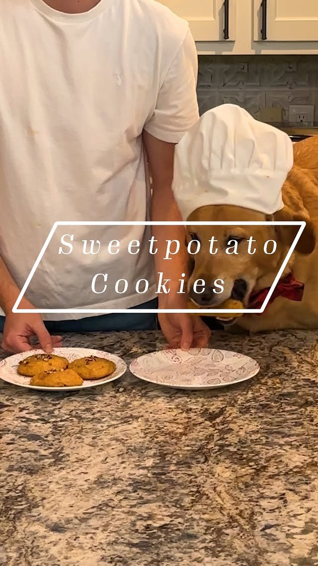 Instagram post by @whiskeybearthelab for NC Sweetpotatoes. Caption reads: happy national dog day! blake made me da best....