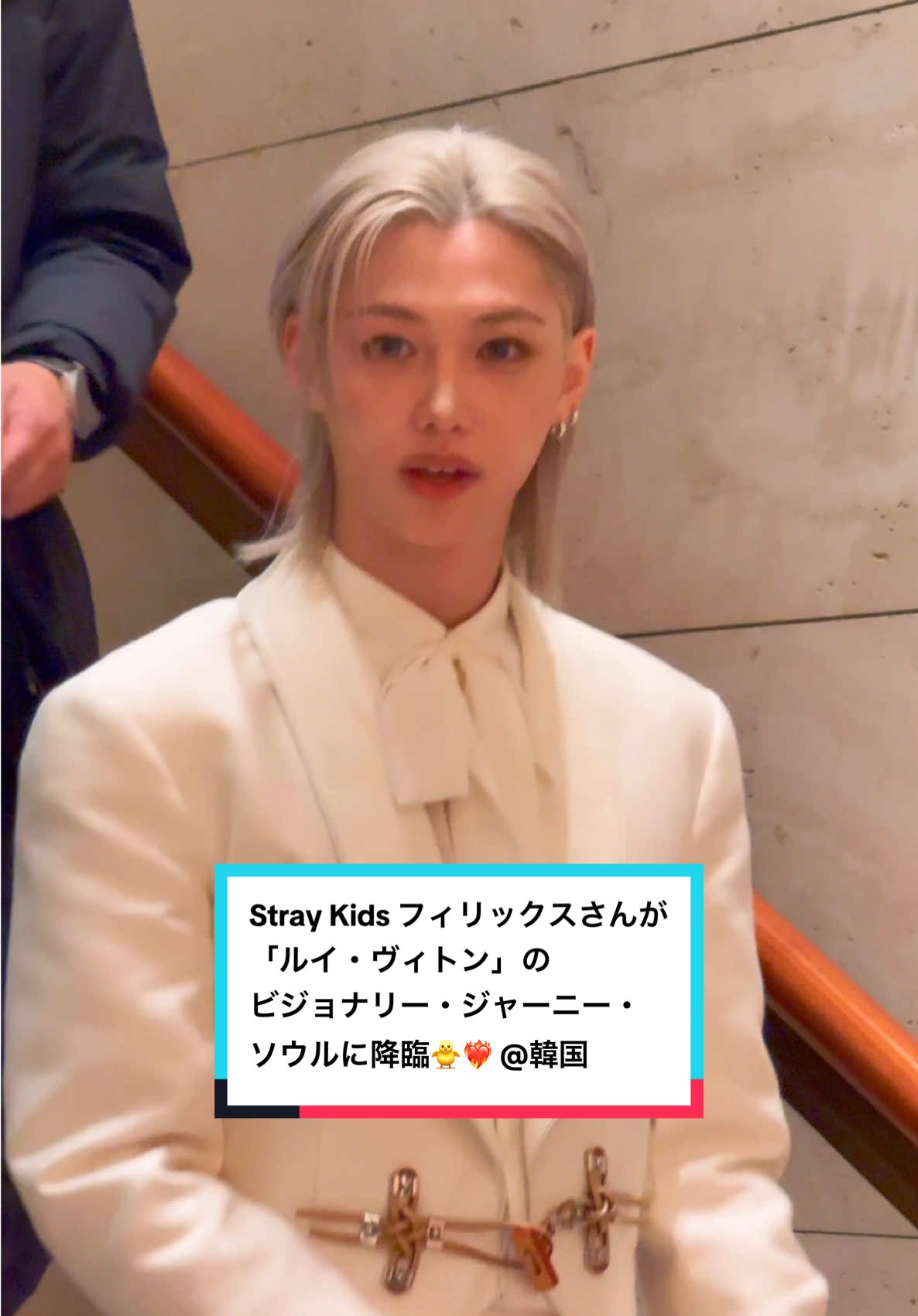 TikTok post by @elle.japan for Stray Kids. Caption reads: Stray Kids フィリックスさんが韓国にオープンした「ルイ・ヴィトン」のビジョナリー・ジャーニ....