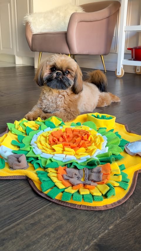 Instagram post by @listen2lena for Open Farm Pet. Caption reads: [...] can grab $25 off $100 with code LENA.....