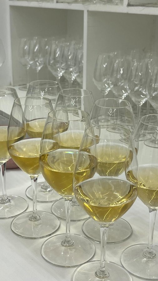 Instagram post by @chiaramrrr for Sarda. Caption reads: This one was lost in my draft oops 

*gifted.