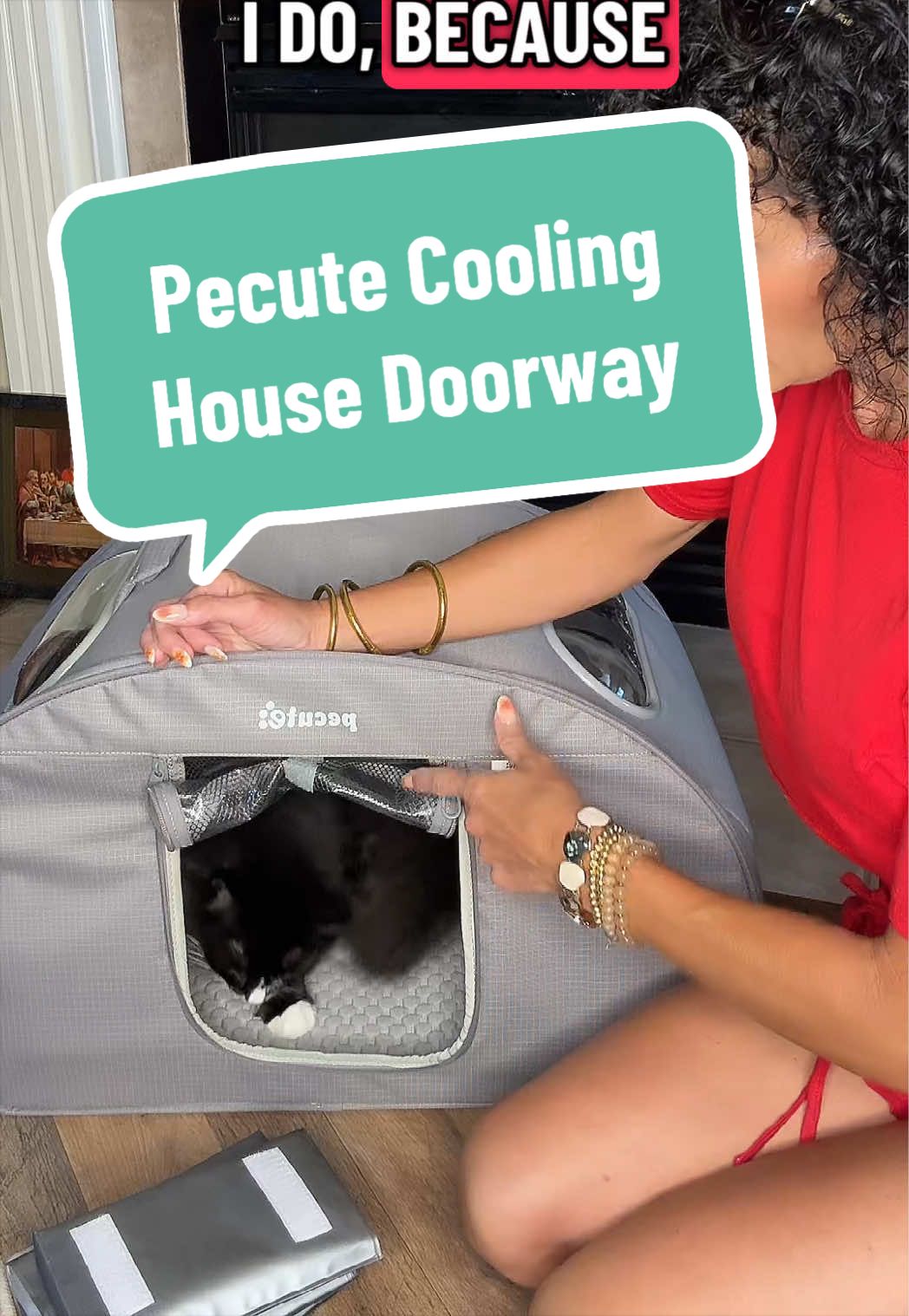 TikTok post by @thisgirlterrah for Pecute. Caption reads: 💙✨Keep your pets cool this summer! @Pecute....