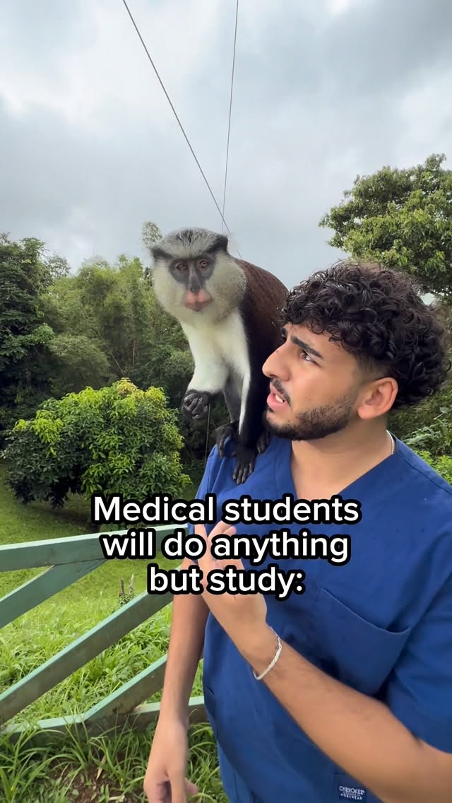 Instagram post by @4kanj for QuillBot. Caption reads: Medical Students will do ANYTHING except study 🤣....